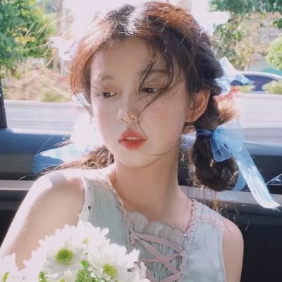 聪明的鸭子
